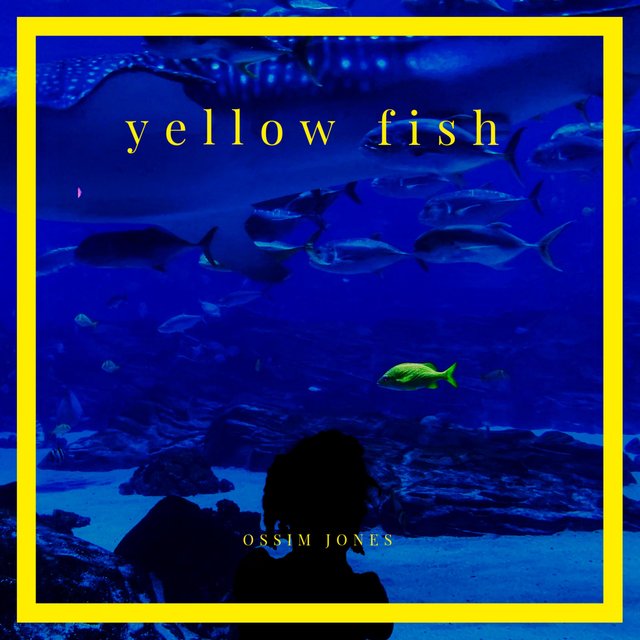 Yellow Fish
