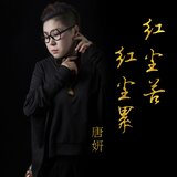 红尘苦红尘累