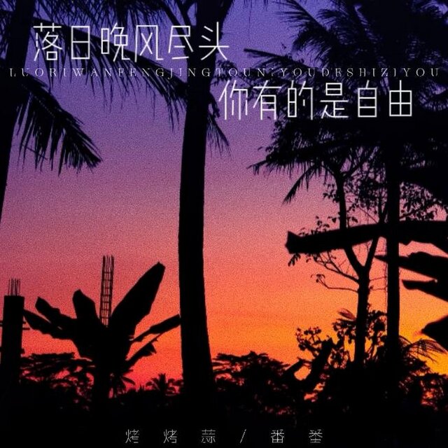 落日晚风尽头 你有的是自由