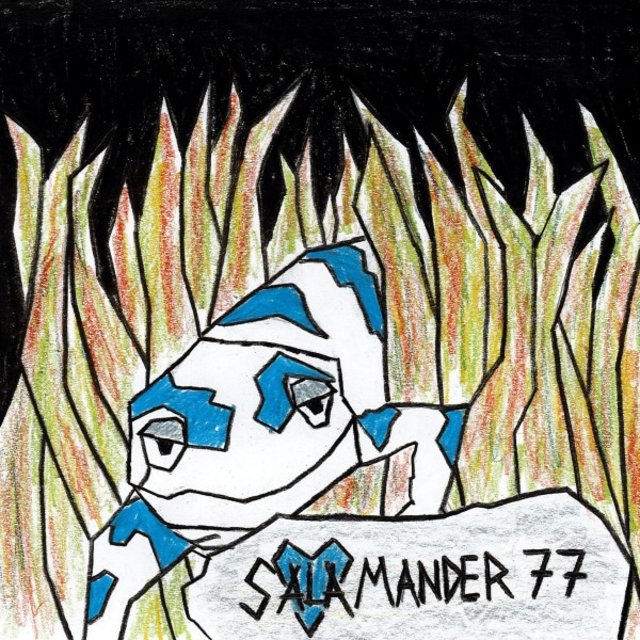 Salamander 77
