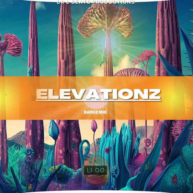 ELEVATIONZ