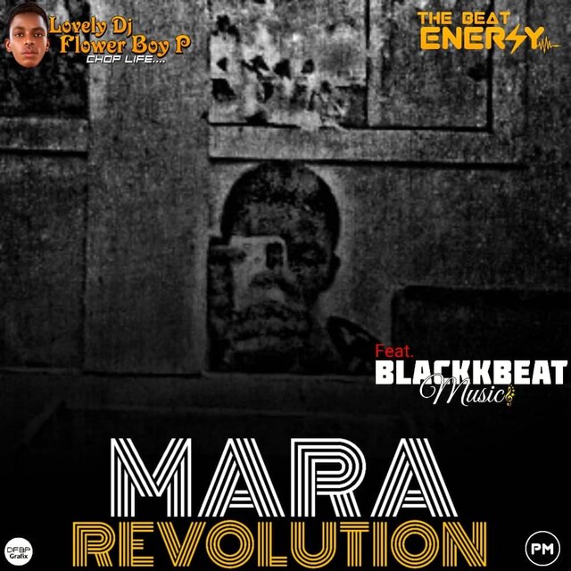 Mara Revolution (feat. Lovely DJ Flower Boy P)