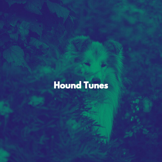 Hound Tunes