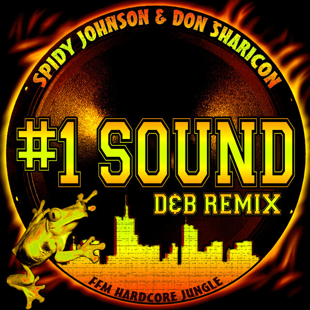 #1 Sound (D&B Remix)