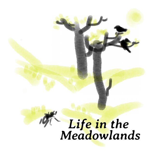 Life in the Meadowlands
