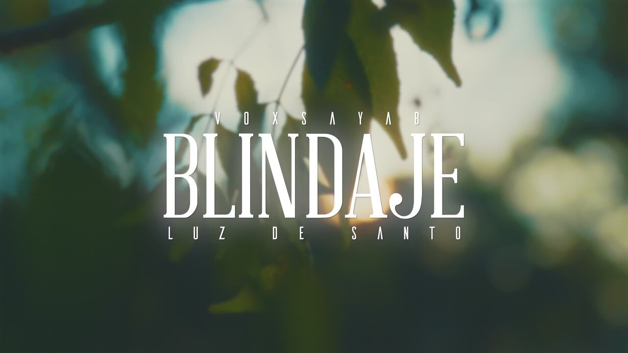 Blindaje (feat. Luz de Santo)