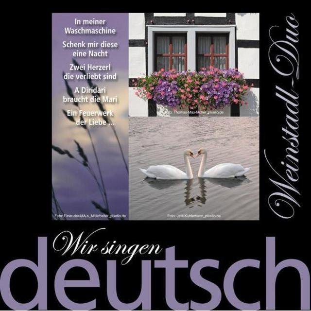 Wir singen deutsch - In meiner Waschmaschine
