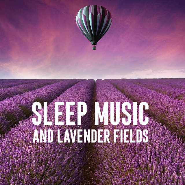 Sleep Music and Lavender Fields