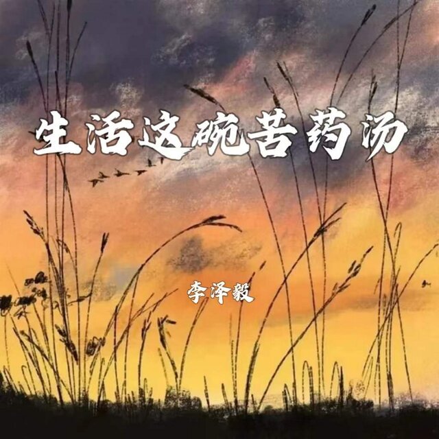 生活这碗苦药汤