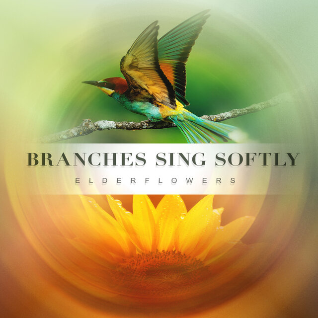 Branches Sing Softly