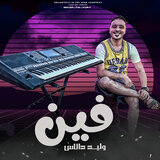 فين