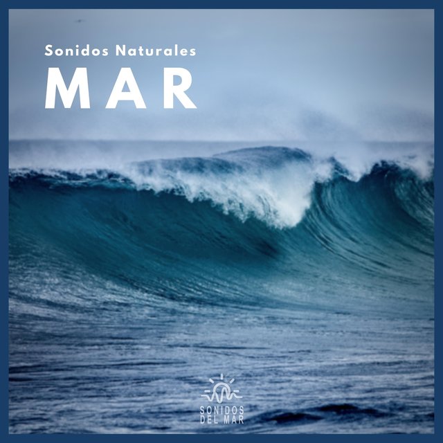 Sonidos Naturales: Mar