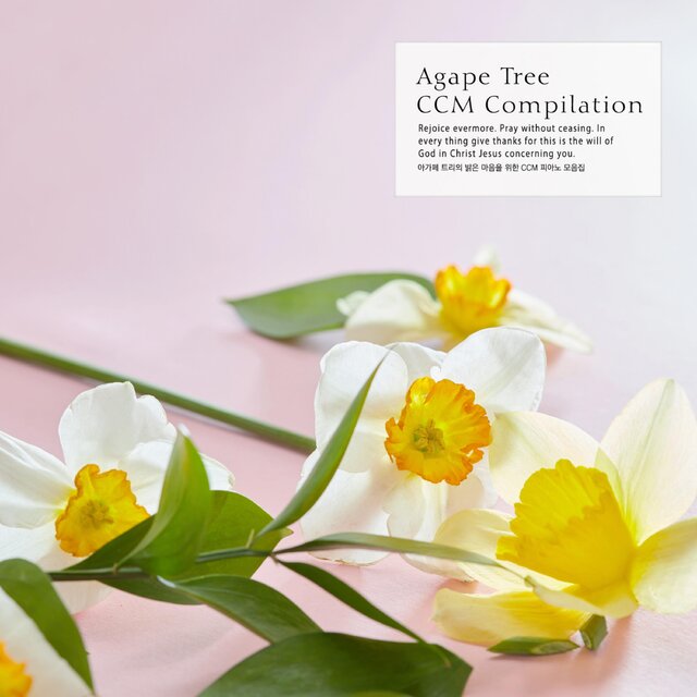CCM piano collection for the bright heart of agape tree