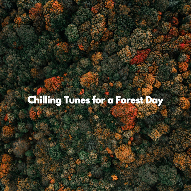 Chilling Tunes for a Forest Day