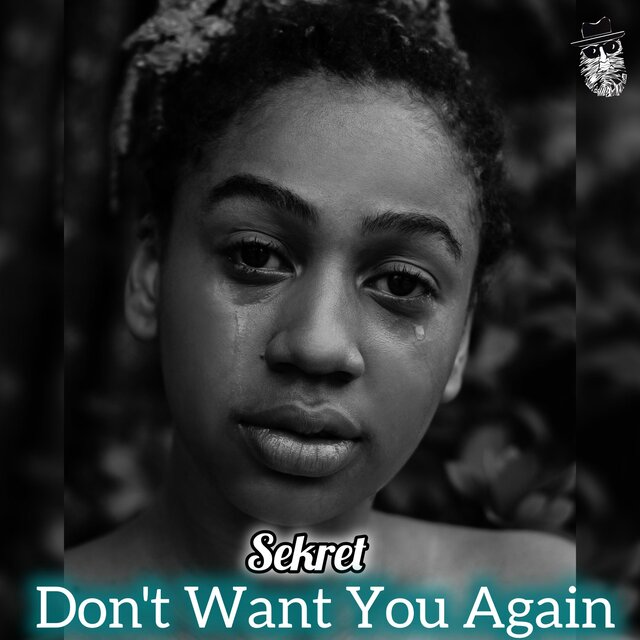 Don't Want You Again