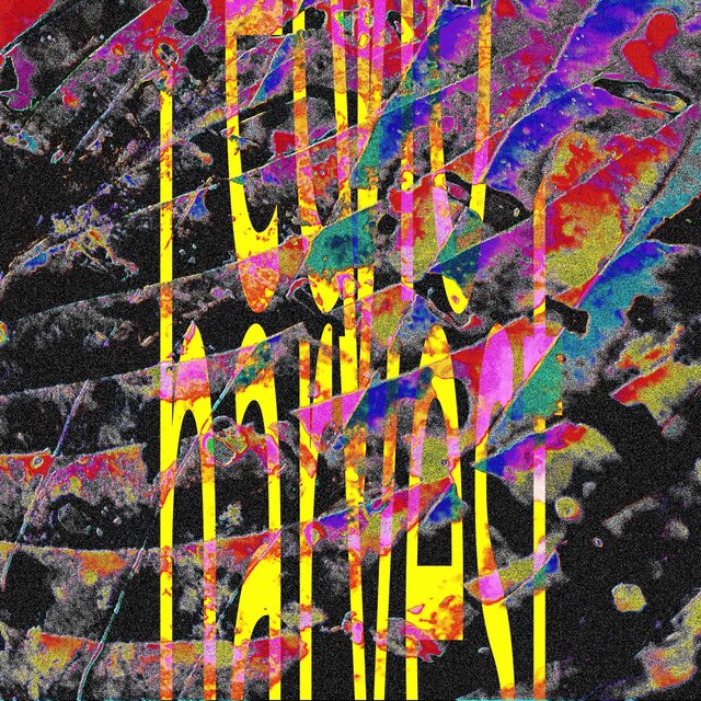 Echo Harvest