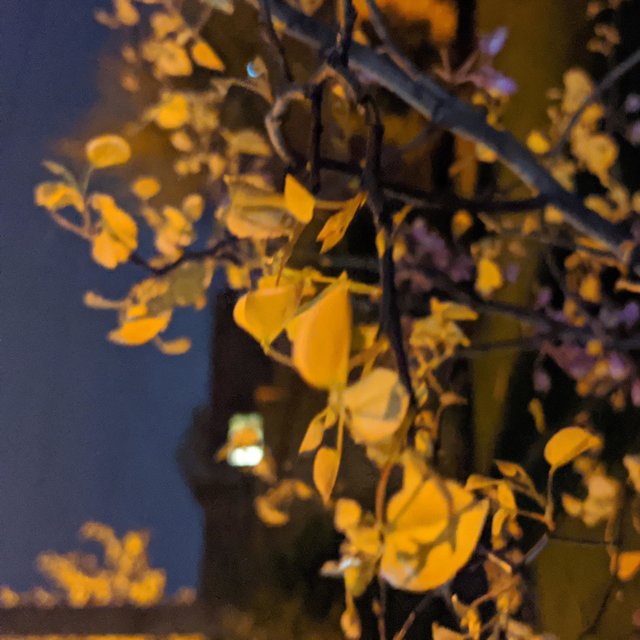 Covid 19, Vol. 7