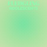 Fledgling Adolescents