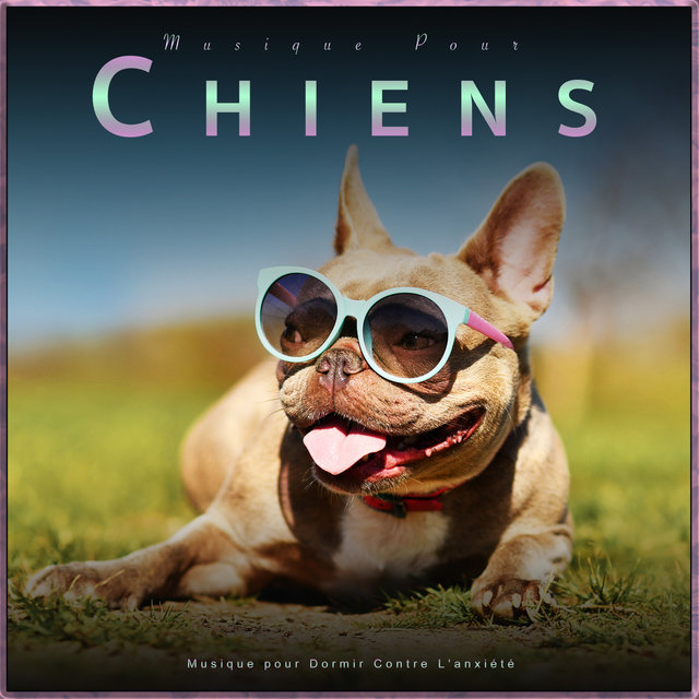 Musique Pour Chiens : Musique pour Dormir Contre L'anxiété