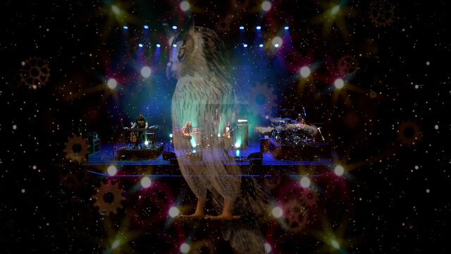 Owl Howl (Live in Paris 2022)