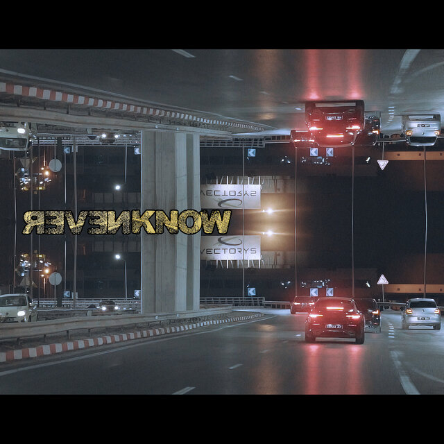 Never Know
