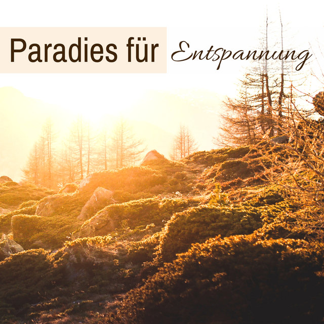 Paradies für Entspannung - Einschlafmusik und Entspannungsmusik zum Einschlafen, für Meditation