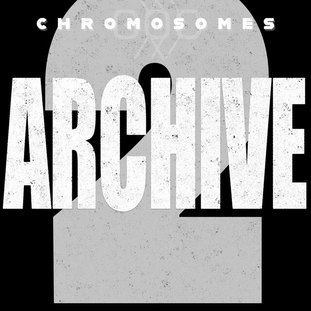 Archive 2
