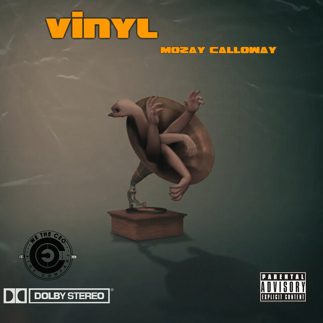 VINLY