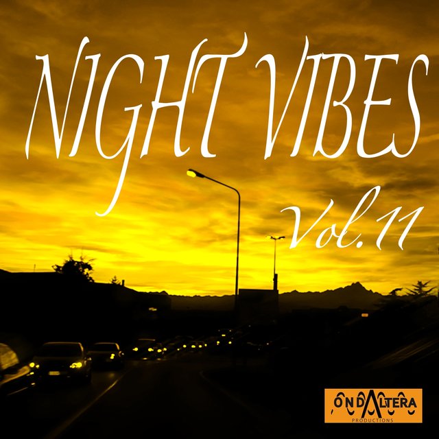 Night Vibes, Vol. 11