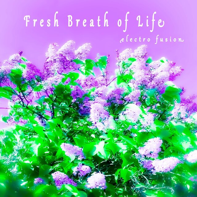 Fresh Breath of Life