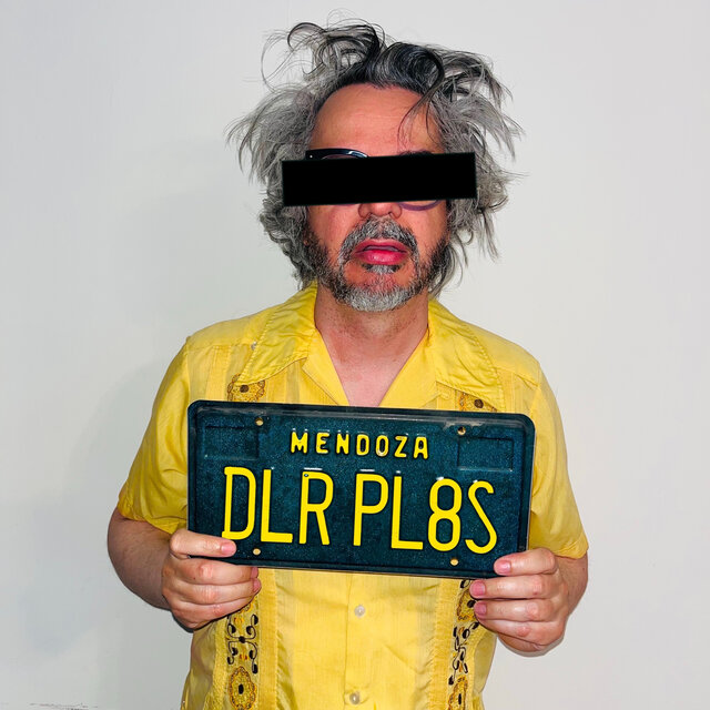 DLR PL8S