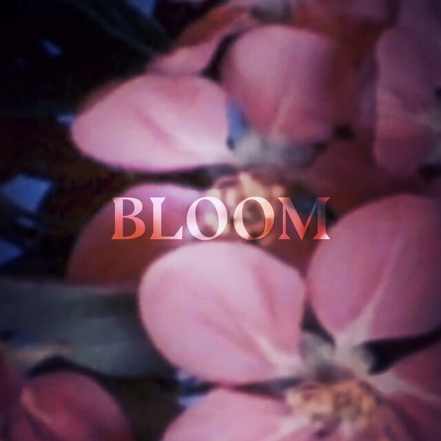 bloom.