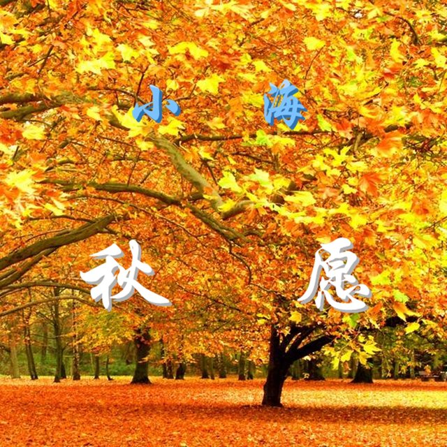 秋愿