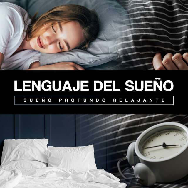 Lenguaje del sueño