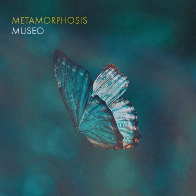 Metamorphosis
