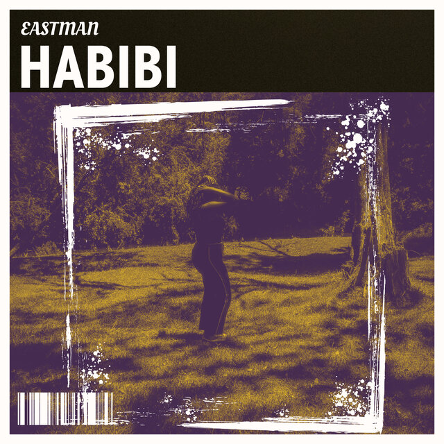 Habibi