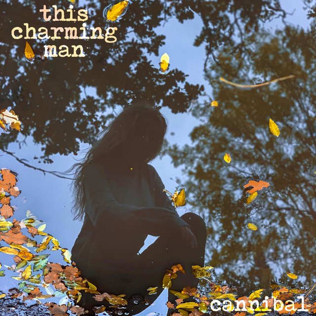 This Charming Man