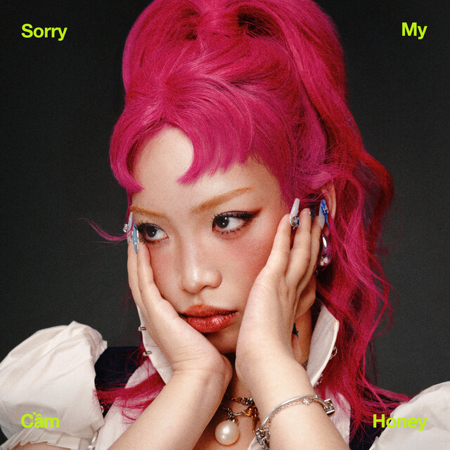 Sorry My Honey