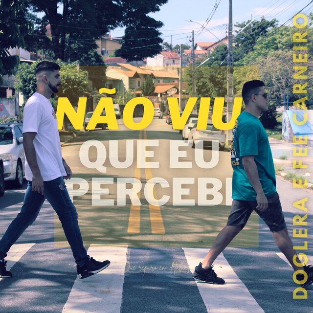 Não Viu Que Eu Percebi
