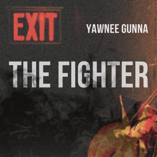 The Fighter