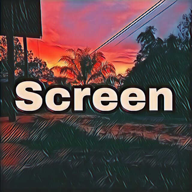Screen