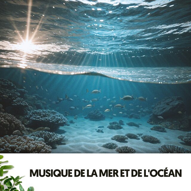 Musique de la Mer et de l'Océan : Chansons des Profondeurs