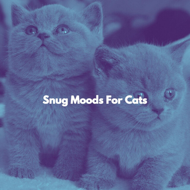 Snug Moods For Cats