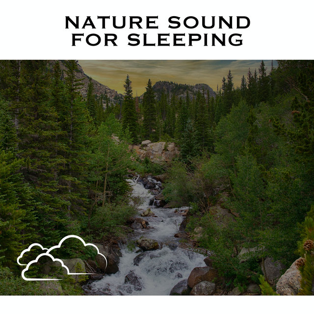 Nature Sound For Sleeping