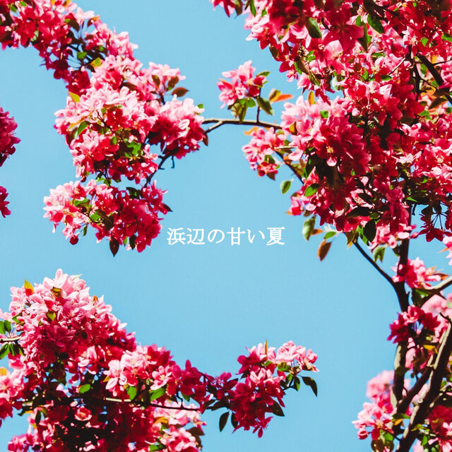 浜辺の甘い夏