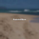 Protected Risen