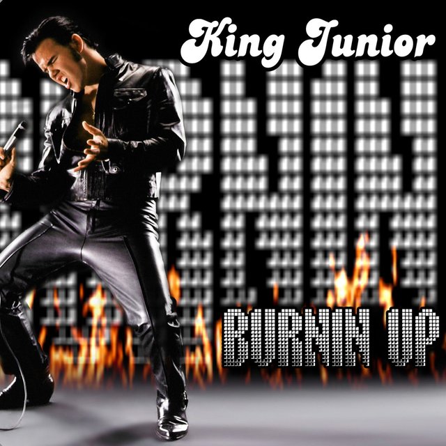 Burnin Up [Remix]