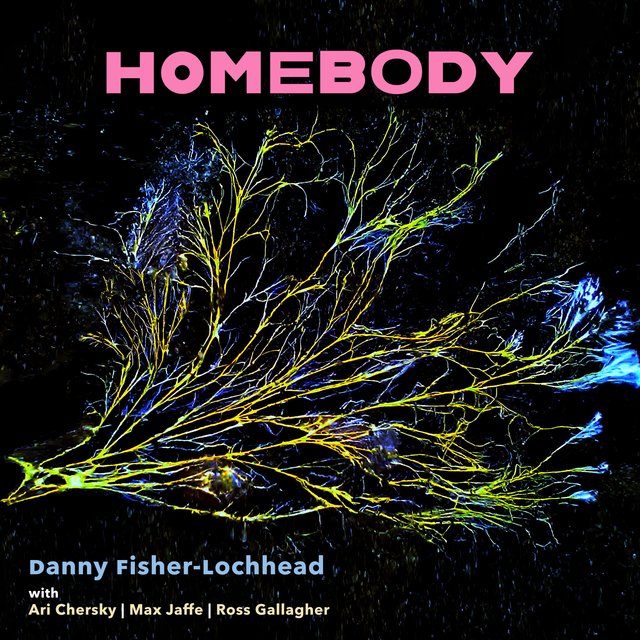 Homebody