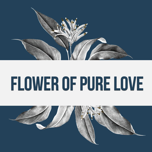 Flower of Pure Love