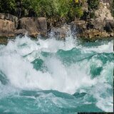 Sea Gulls Dancing over Lapping Waves